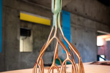 Découverte de l'exposition et temps d'échange firminy